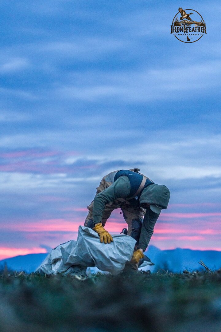 Hunter picking up a mallard on a cloudy morning